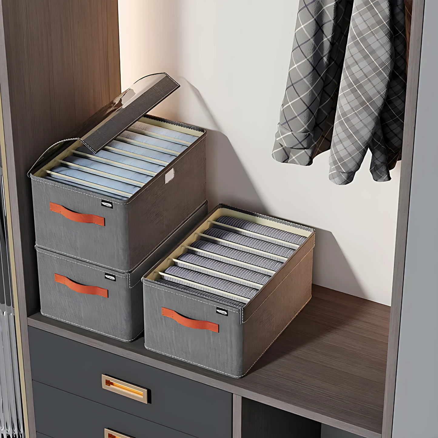 Organizador De Roupas Com Tampa Cover Max