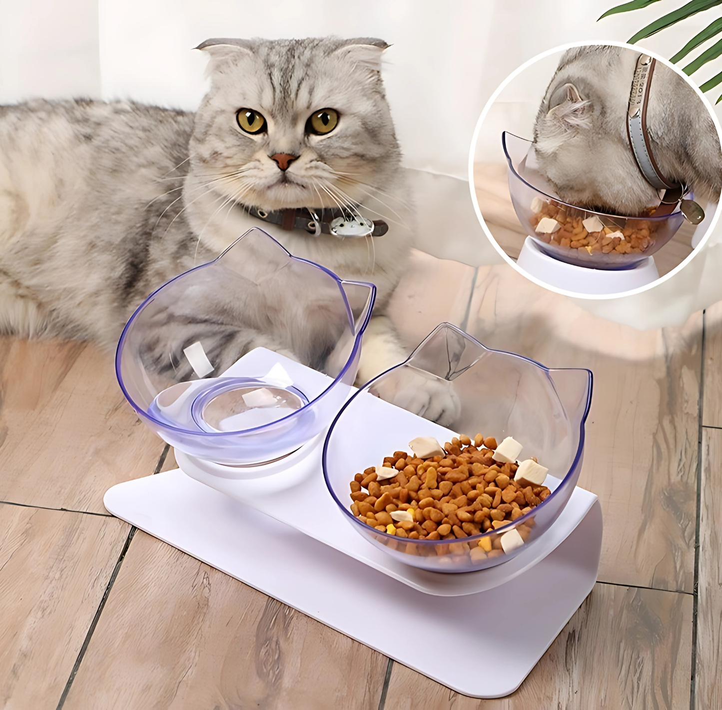 Tigela para Gatos Ajustável CatBowl