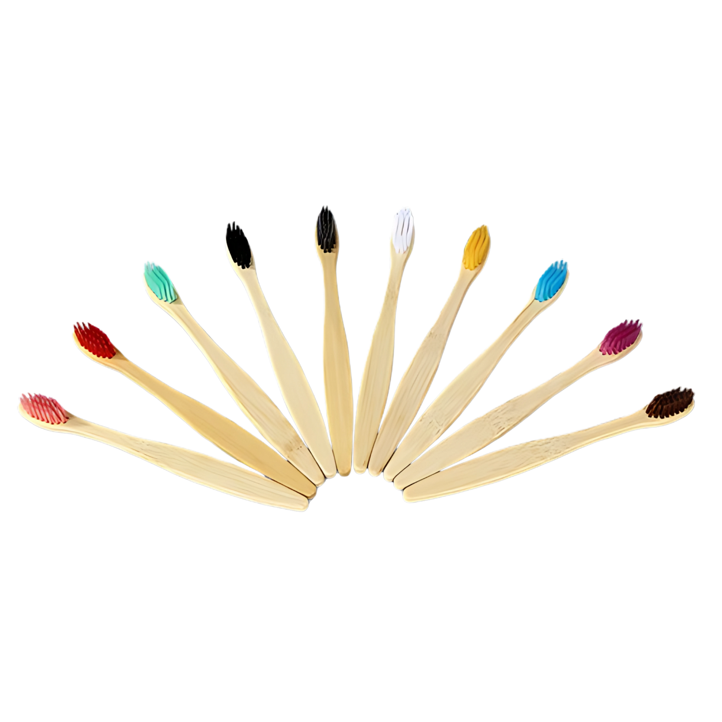 Escova de Dente Ecológica de Bambu Naturedent