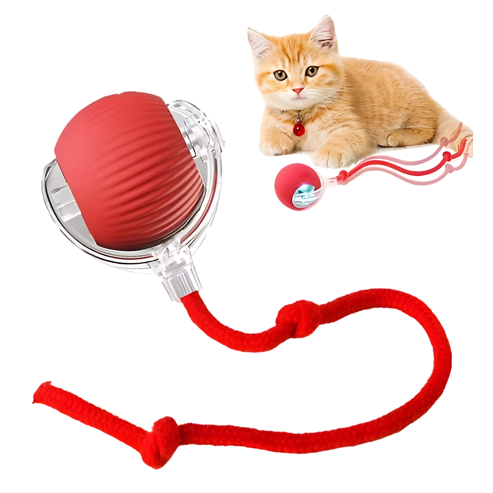 Bolinha Interativa PetPlay
