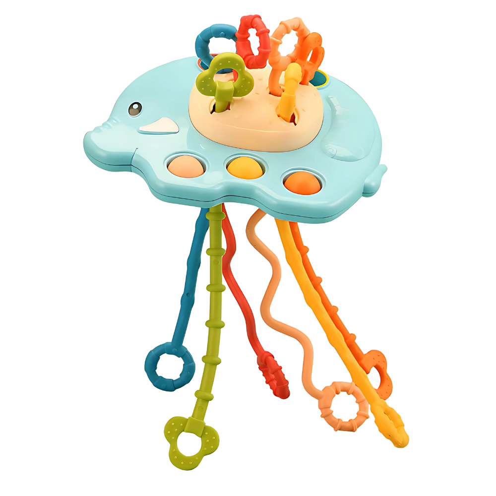 Brinquedo de Atividades Baby Play