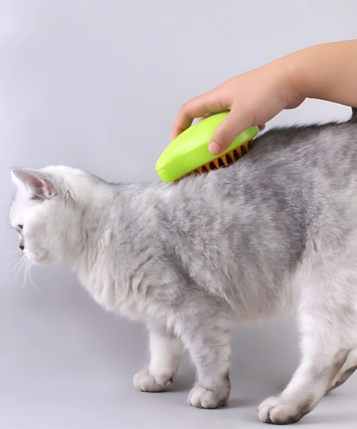 Escova à Vapor 3 Em 1 Superlimpante Para Pet