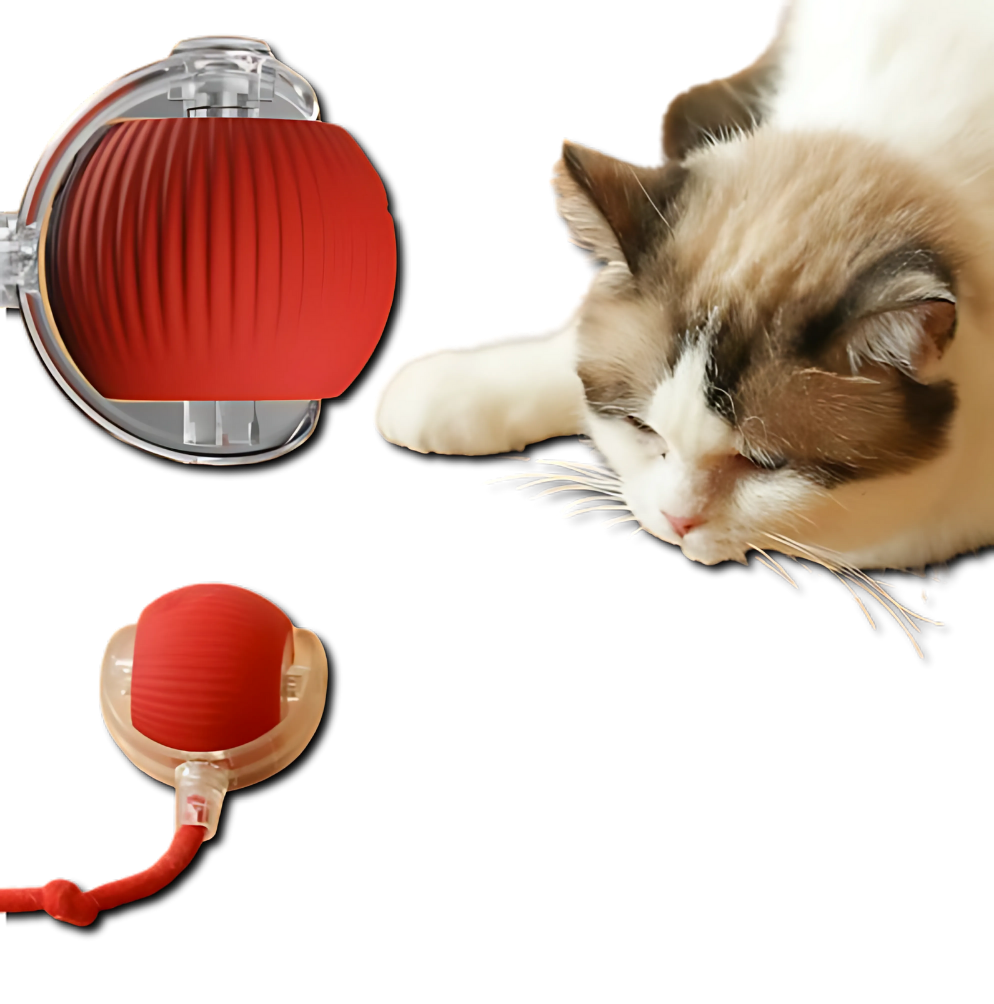 Bolinha Interativa PetPlay