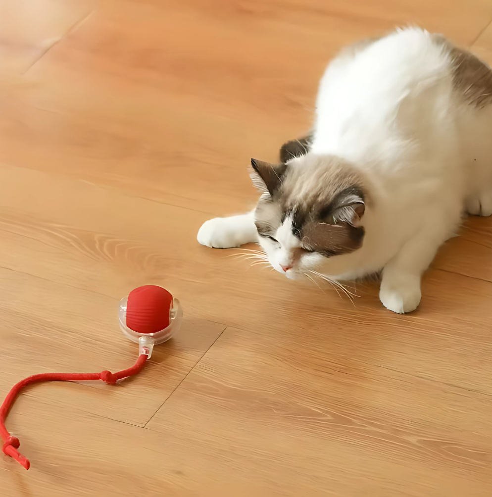 Bolinha Interativa PetPlay