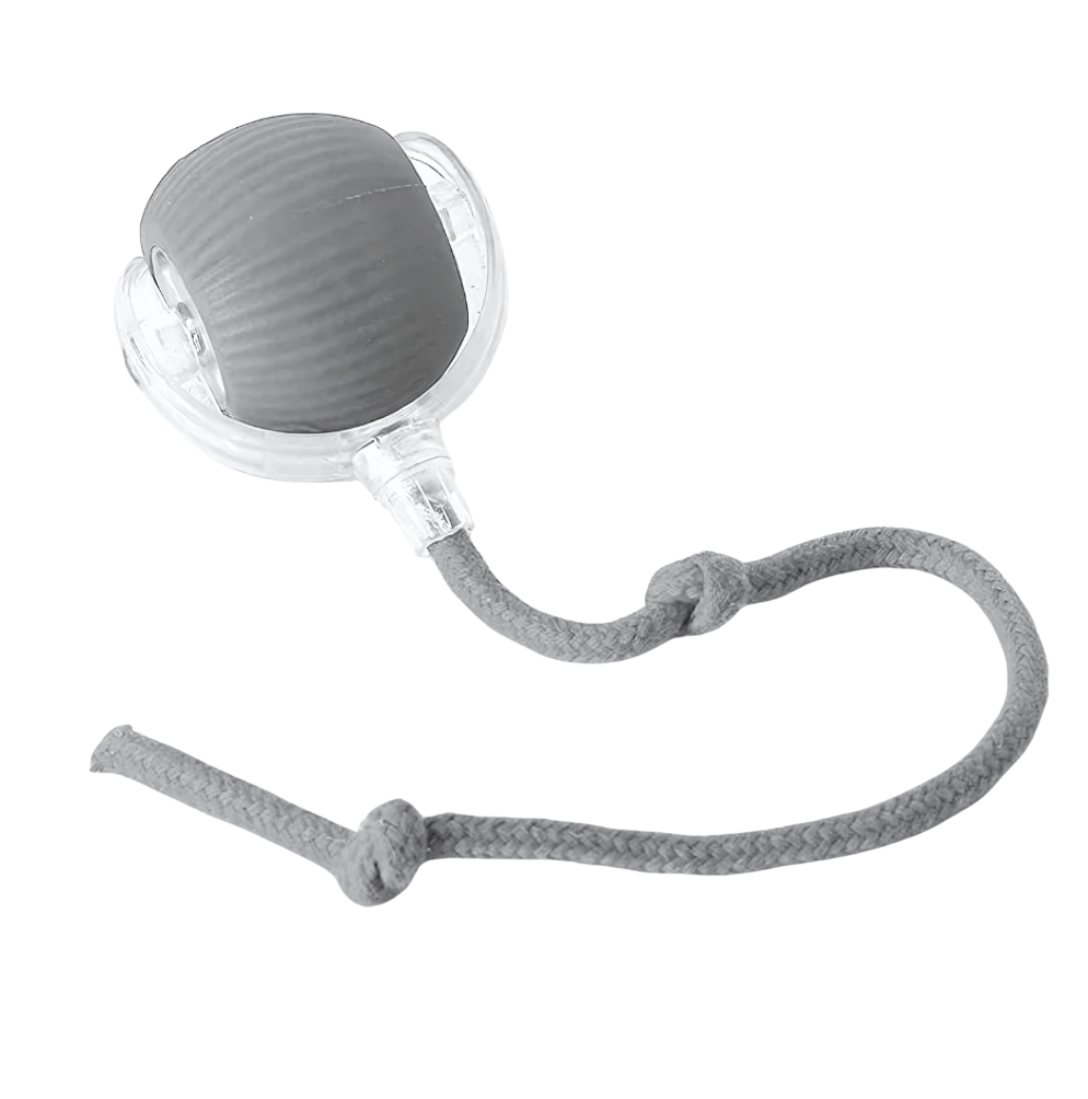 Bolinha Interativa PetPlay