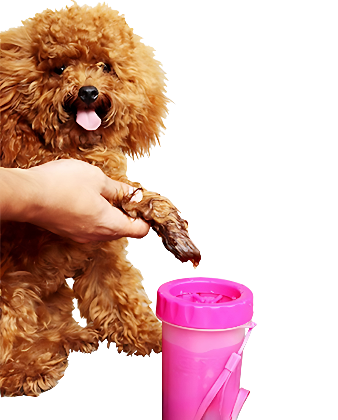 Limpa Patas Cleaning Brush