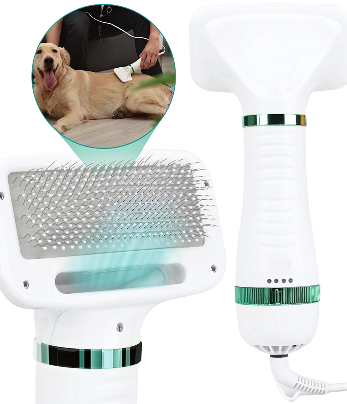 Secador Pet 2 em 1 PerfectPet