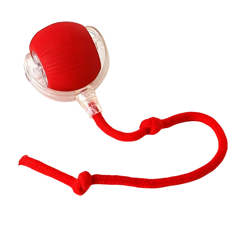 Bolinha Interativa PetPlay