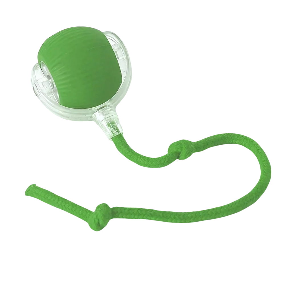 Bolinha Interativa PetPlay