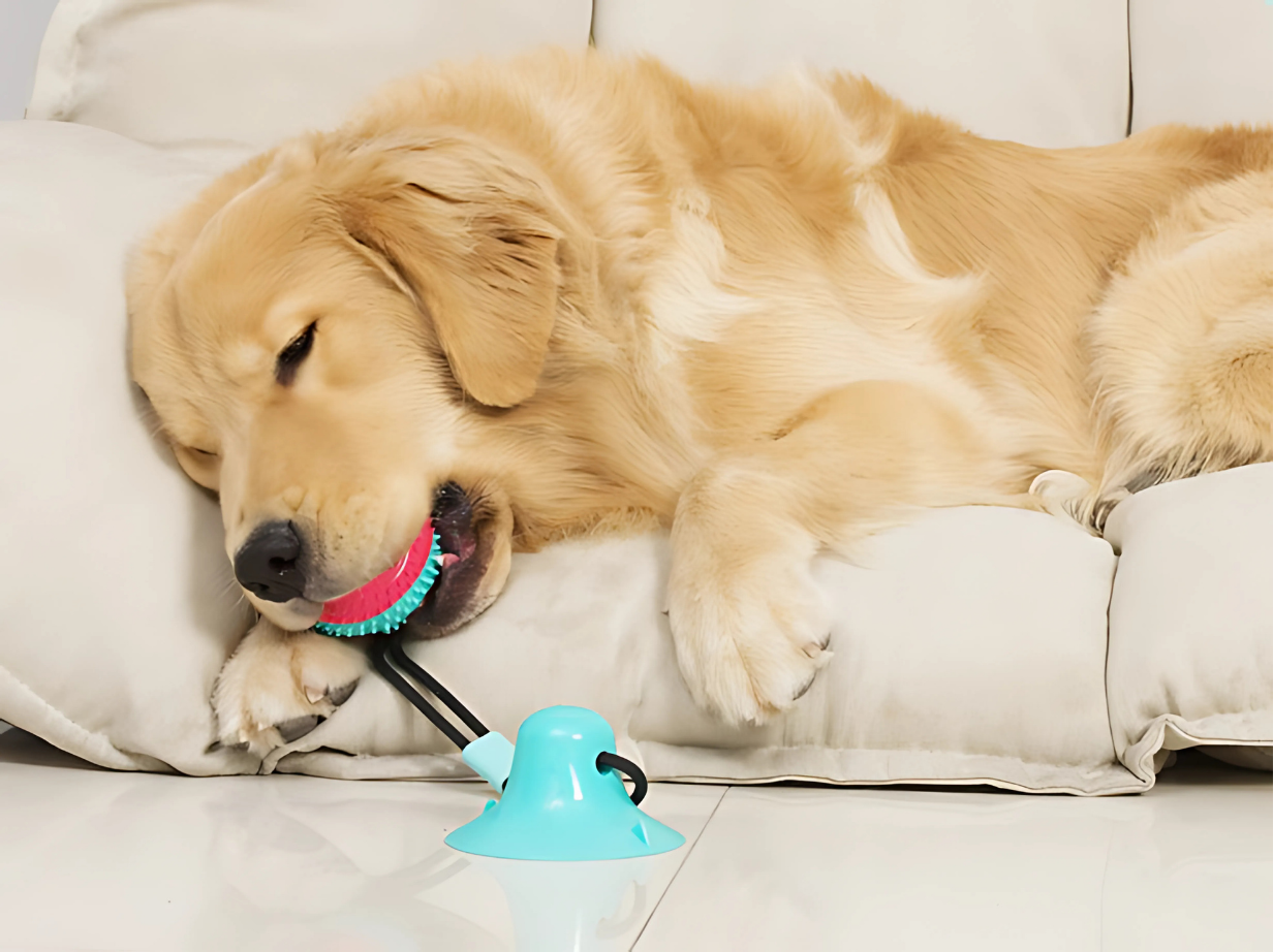 Brinquedo Pull Ball com Ventosa