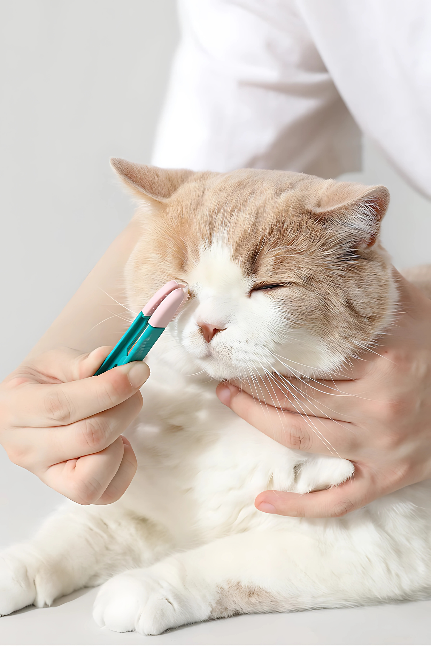 Escova de limpeza de Olhos para Animais Stain Remove [Compre 2 Leve 3]