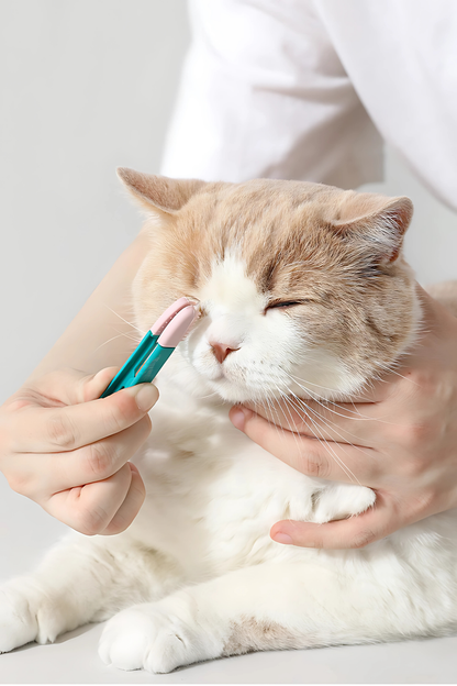 Escova de limpeza de Olhos para Animais Stain Remove [Compre 2 Leve 3]