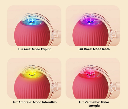 Bolinha Interativa PetPlay