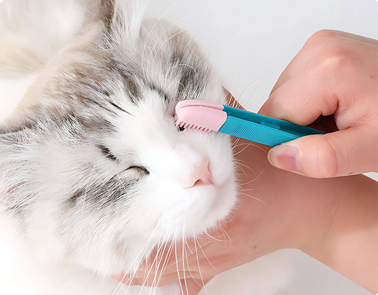 Escova de limpeza de Olhos para Animais Stain Remove [Compre 2 Leve 3]