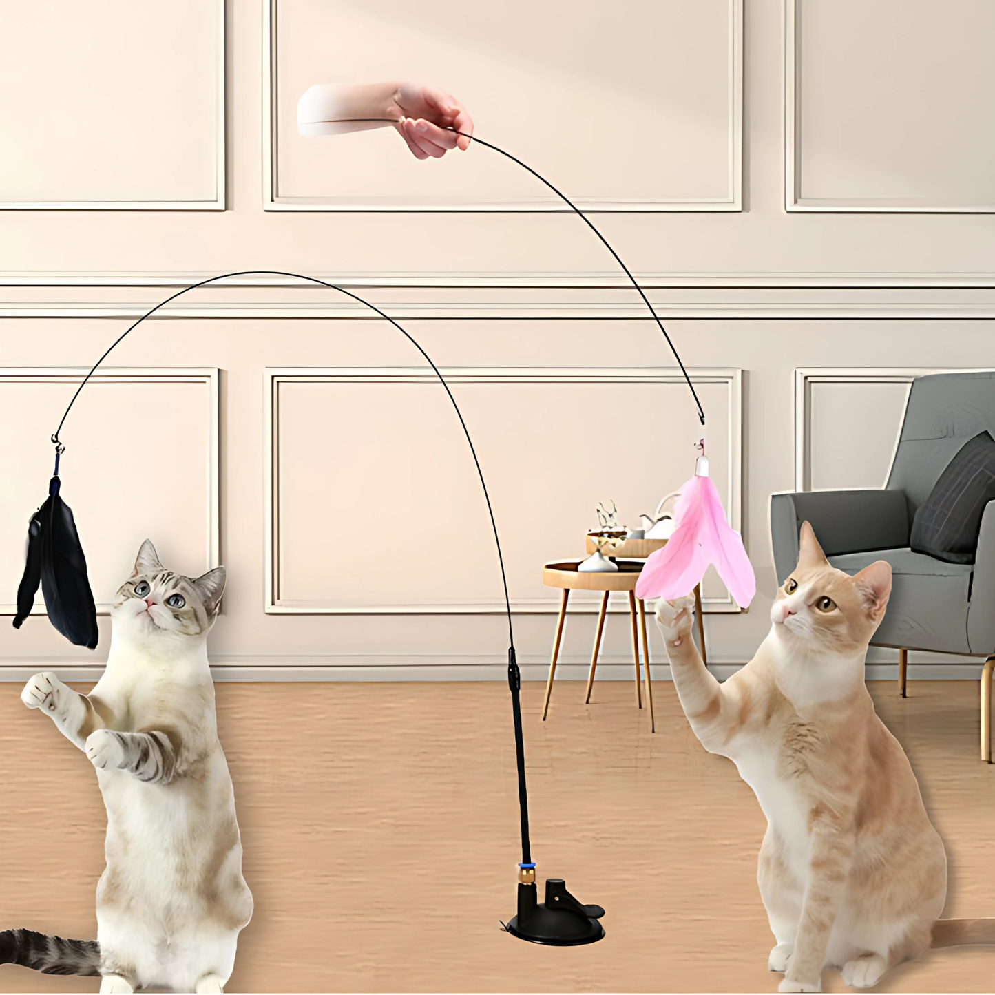Brinquedo Interativo Pena para Gatos Hands Free [Compre 1 e Leve 2]