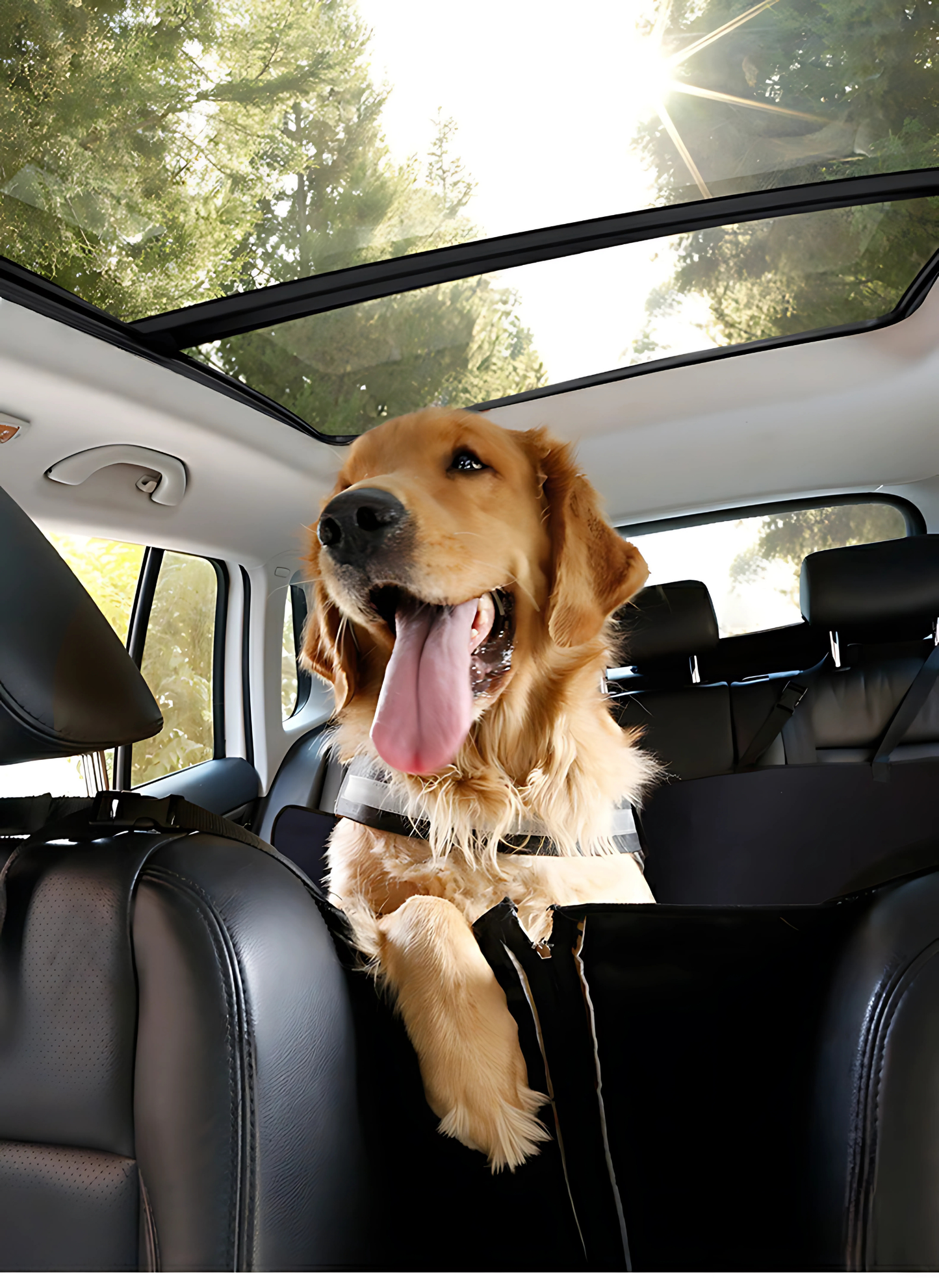 Capa Protetora de Assento de Carro para Pets Waterproof