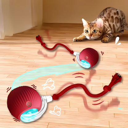 Bolinha Interativa PetPlay
