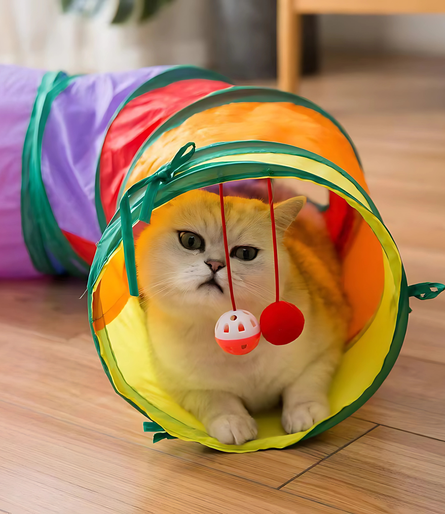 Brinquedo Túnel para Gatos Lots of Fun
