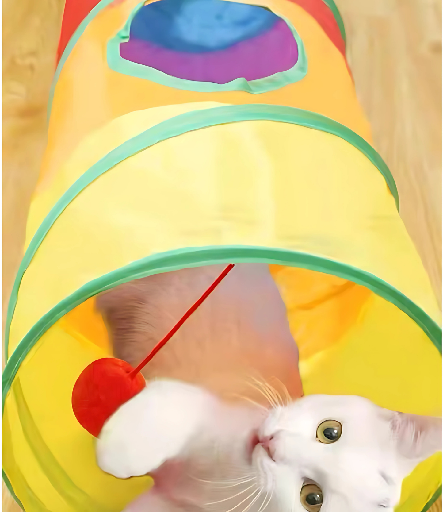 Brinquedo Túnel para Gatos Lots of Fun