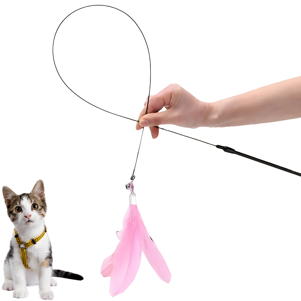 Brinquedo Interativo Pena para Gatos Hands Free [Compre 1 e Leve 2]