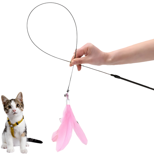 Brinquedo Interativo Pena para Gatos Hands Free [Compre 1 e Leve 2]