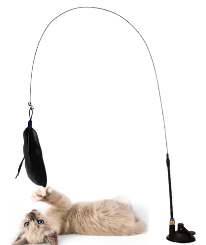 Brinquedo Interativo Pena para Gatos Hands Free [Compre 1 e Leve 2]