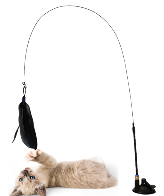 Brinquedo Interativo Pena para Gatos Hands Free [Compre 1 e Leve 2]