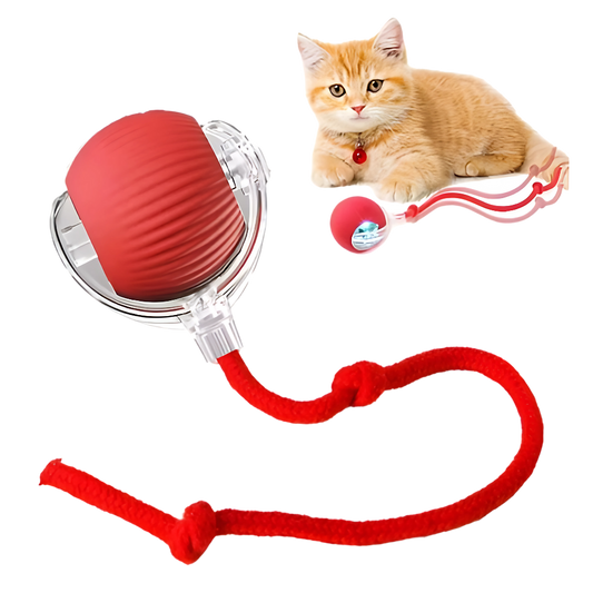 Bolinha Interativa PetPlay