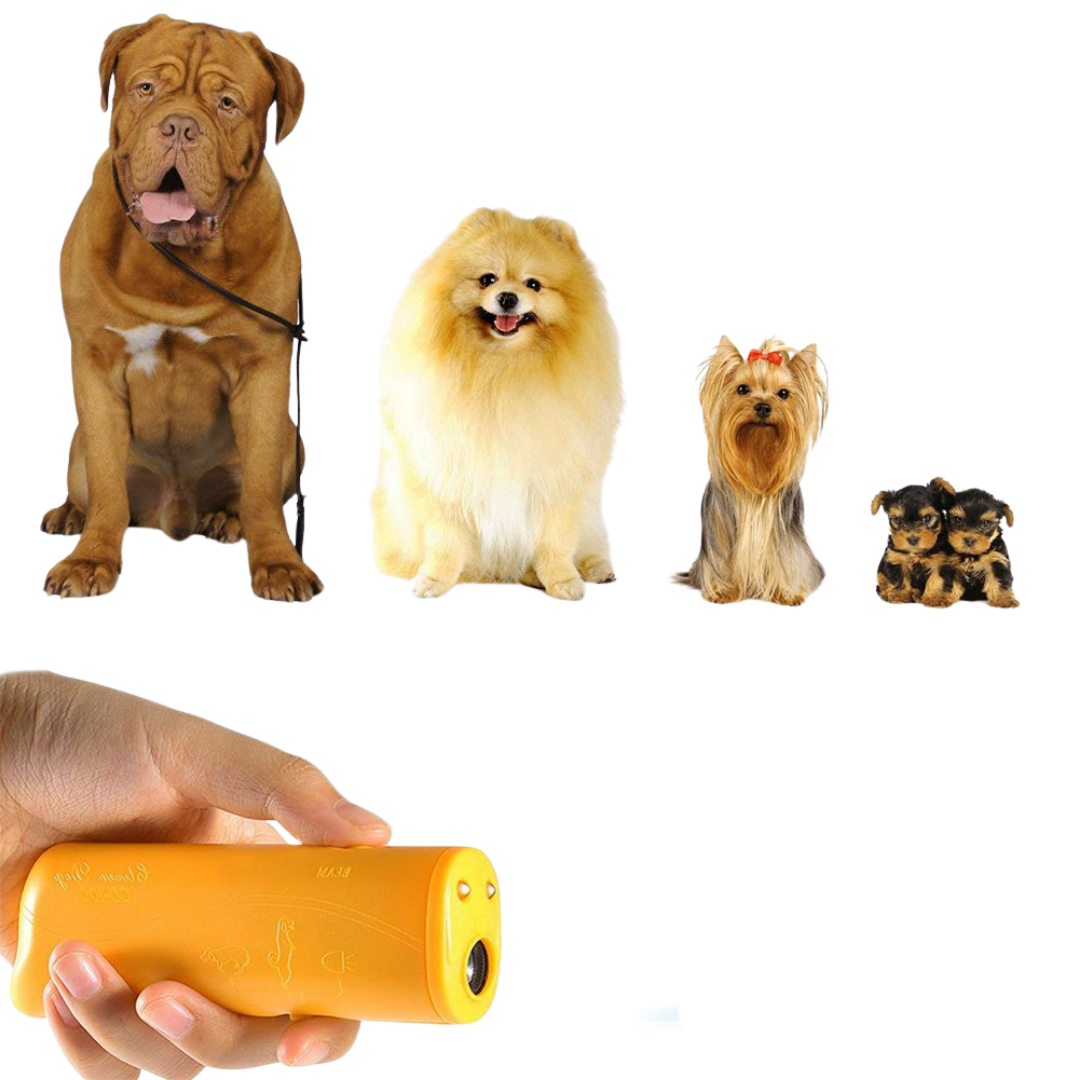 Dispositivo de Treinamento de Cães Training [Compre 1 e Leve 2]