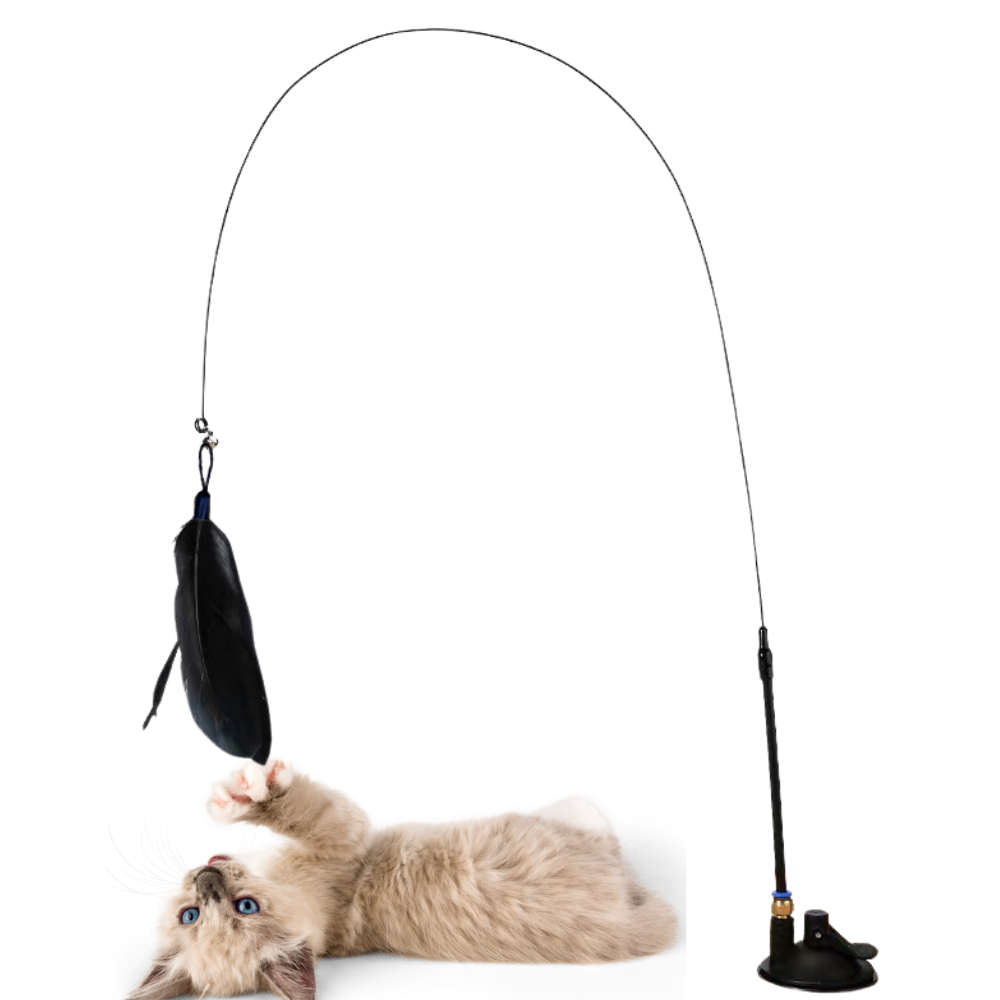 Brinquedo Interativo Pena para Gatos Hands Free [Compre 1 e Leve 2]