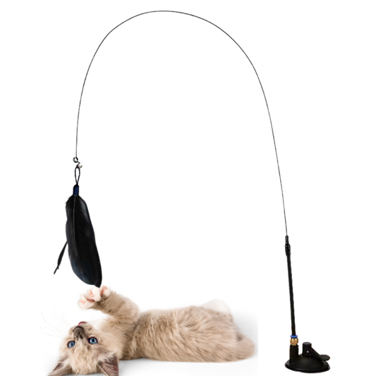 Brinquedo Interativo Pena para Gatos Hands Free [Compre 1 e Leve 2]