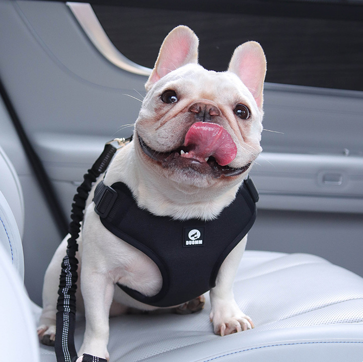 Cinto de Segurança para Pets [Compre 1 e Leve 2]