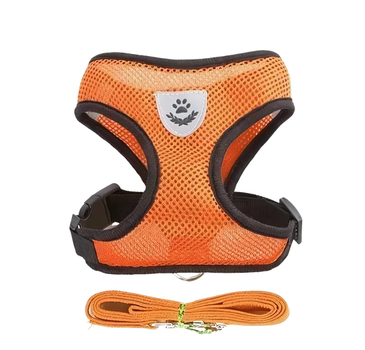 Coleira Peitoral Reflexível Respirável Vest [Compre 1 Leve 2]