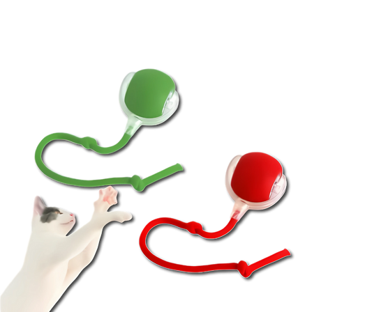 Bolinha Interativa PetPlay