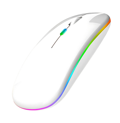 Mouse Sem Fio Wireless Recarregável RGB Gamer 1600dpi
