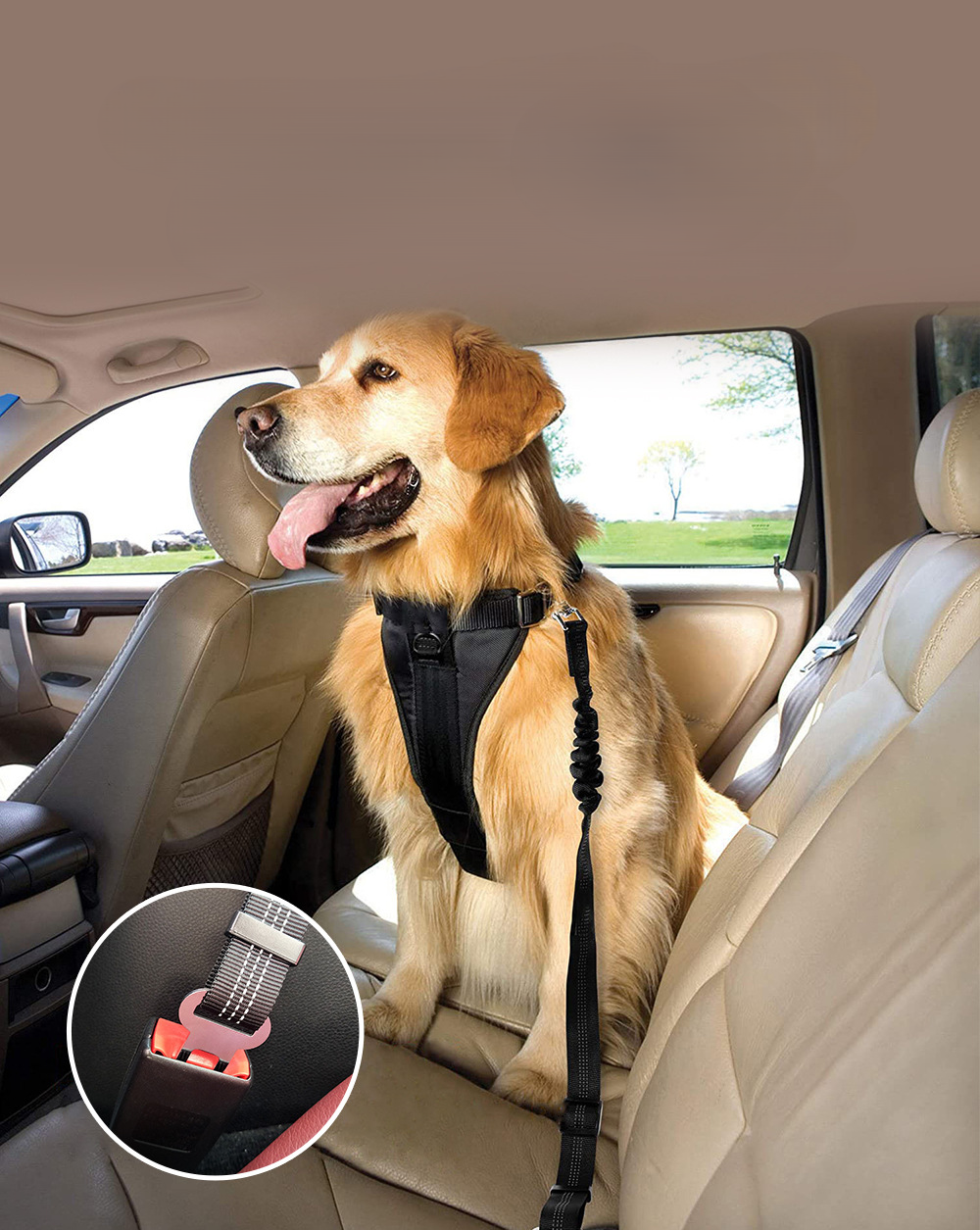 Cinto de Segurança para Pets [Compre 1 e Leve 2]