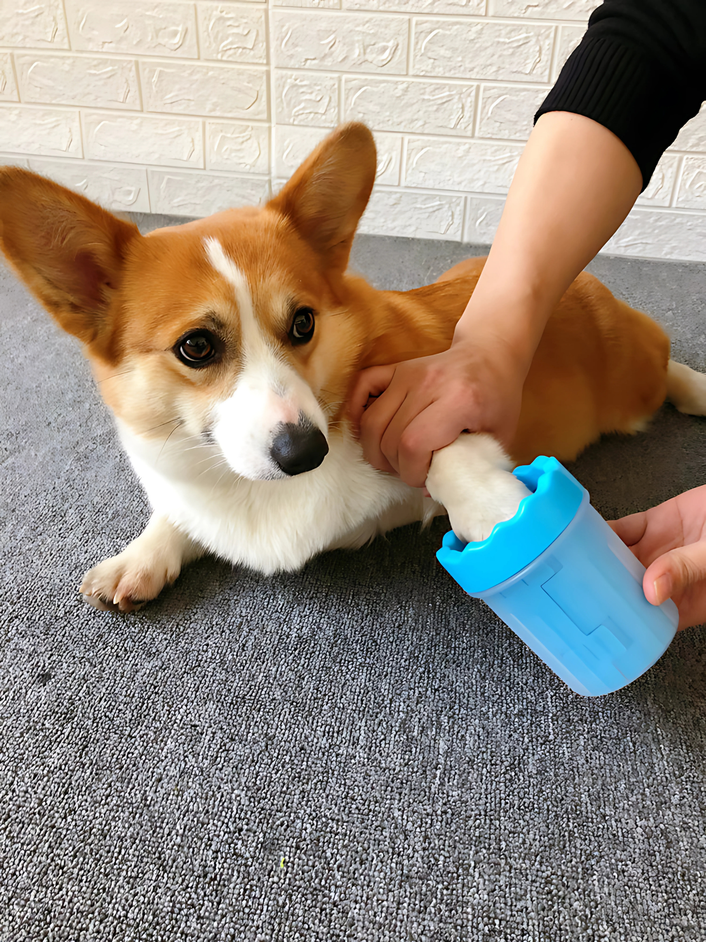 Limpa Patas Cleaning Brush