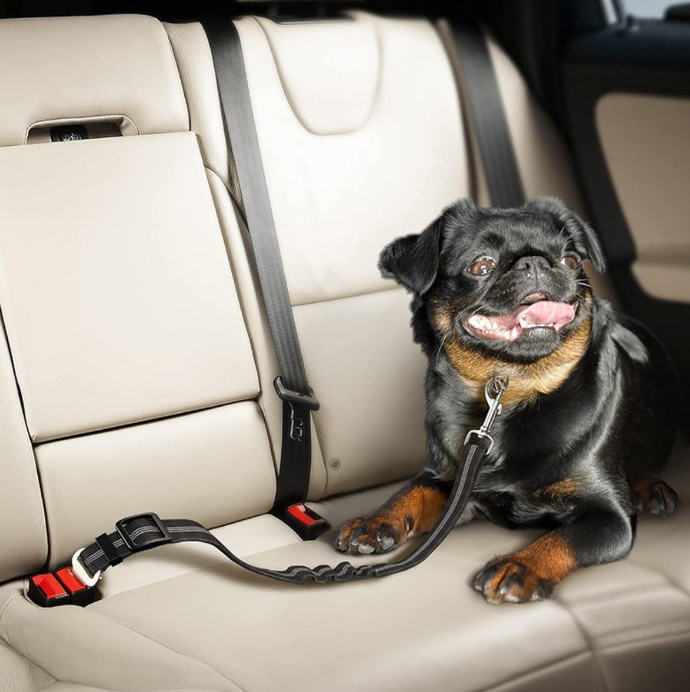 Cinto de Segurança para Pets [Compre 1 e Leve 2]