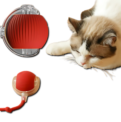 Bolinha Interativa PetPlay