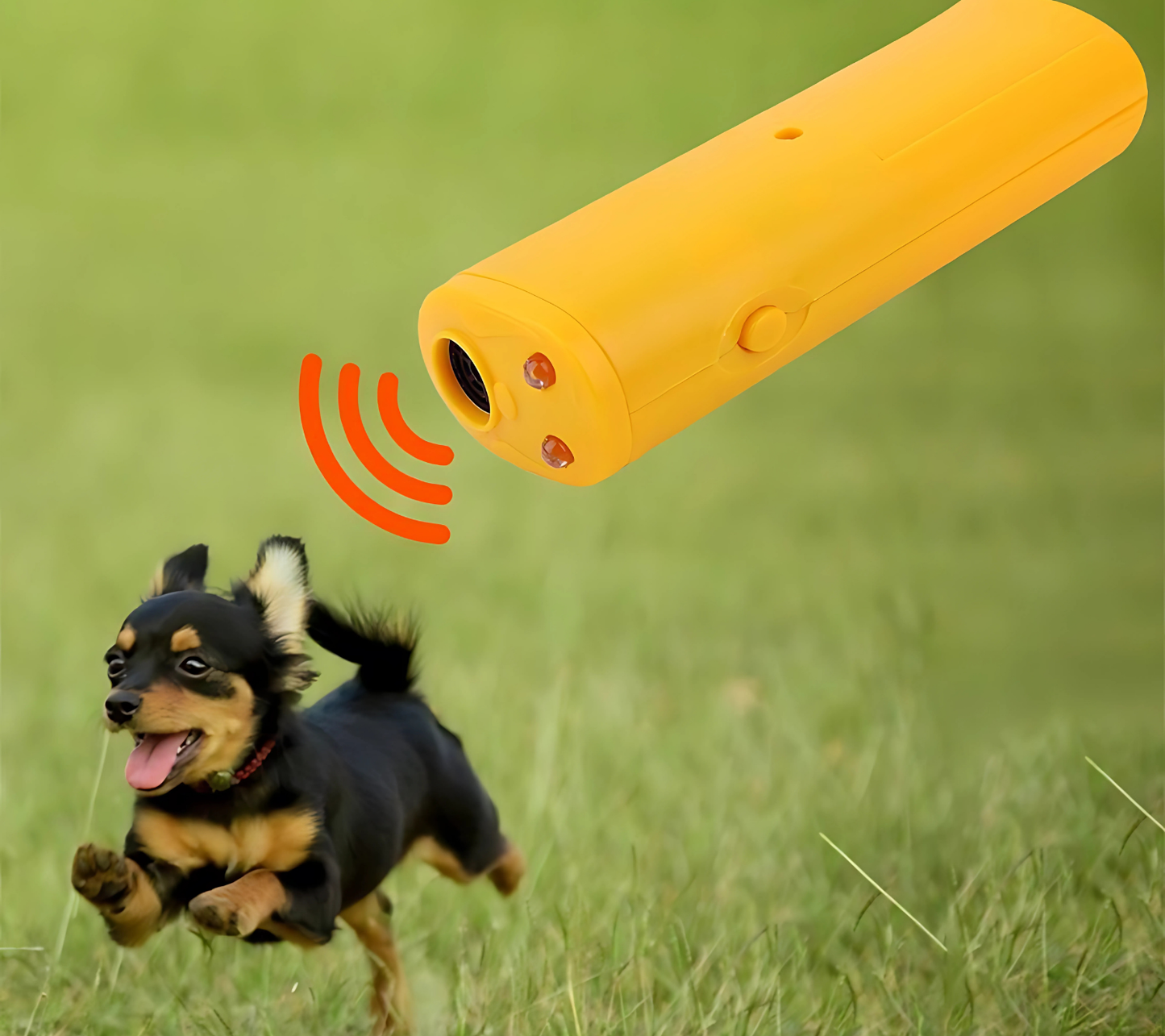 Dispositivo de Treinamento de Cães Training [Compre 1 e Leve 2]