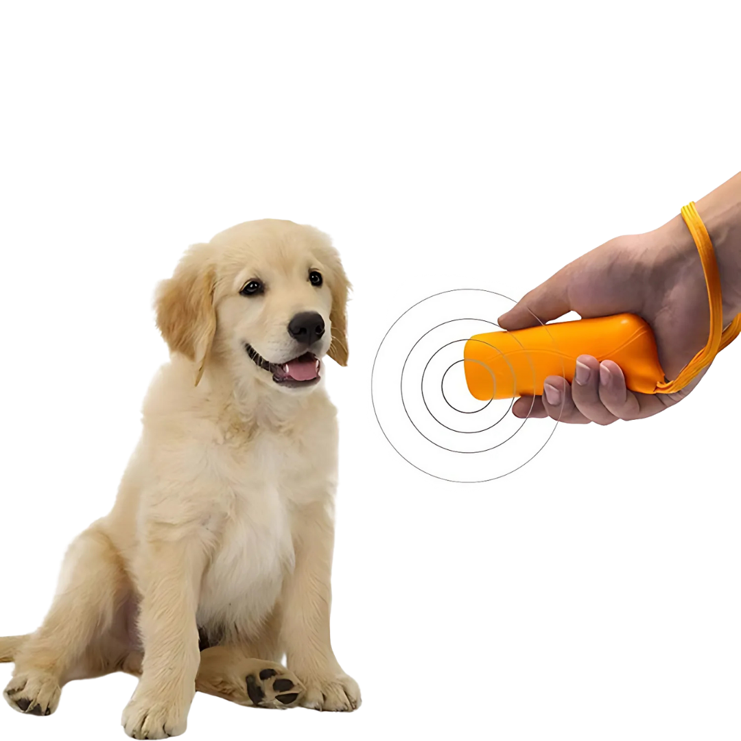 Dispositivo de Treinamento de Cães Training [Compre 1 e Leve 2]