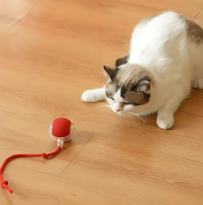 Bolinha Interativa PetPlay
