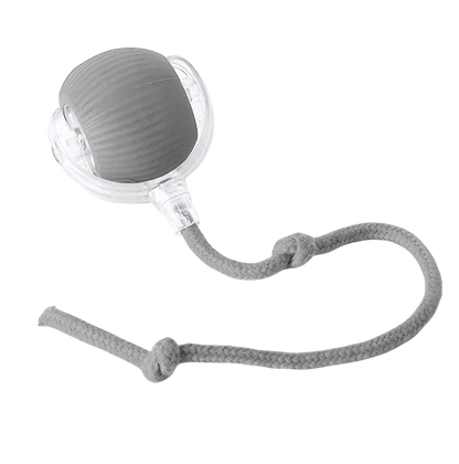 Bolinha Interativa PetPlay