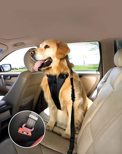Cinto de Segurança para Pets [Compre 1 e Leve 2]