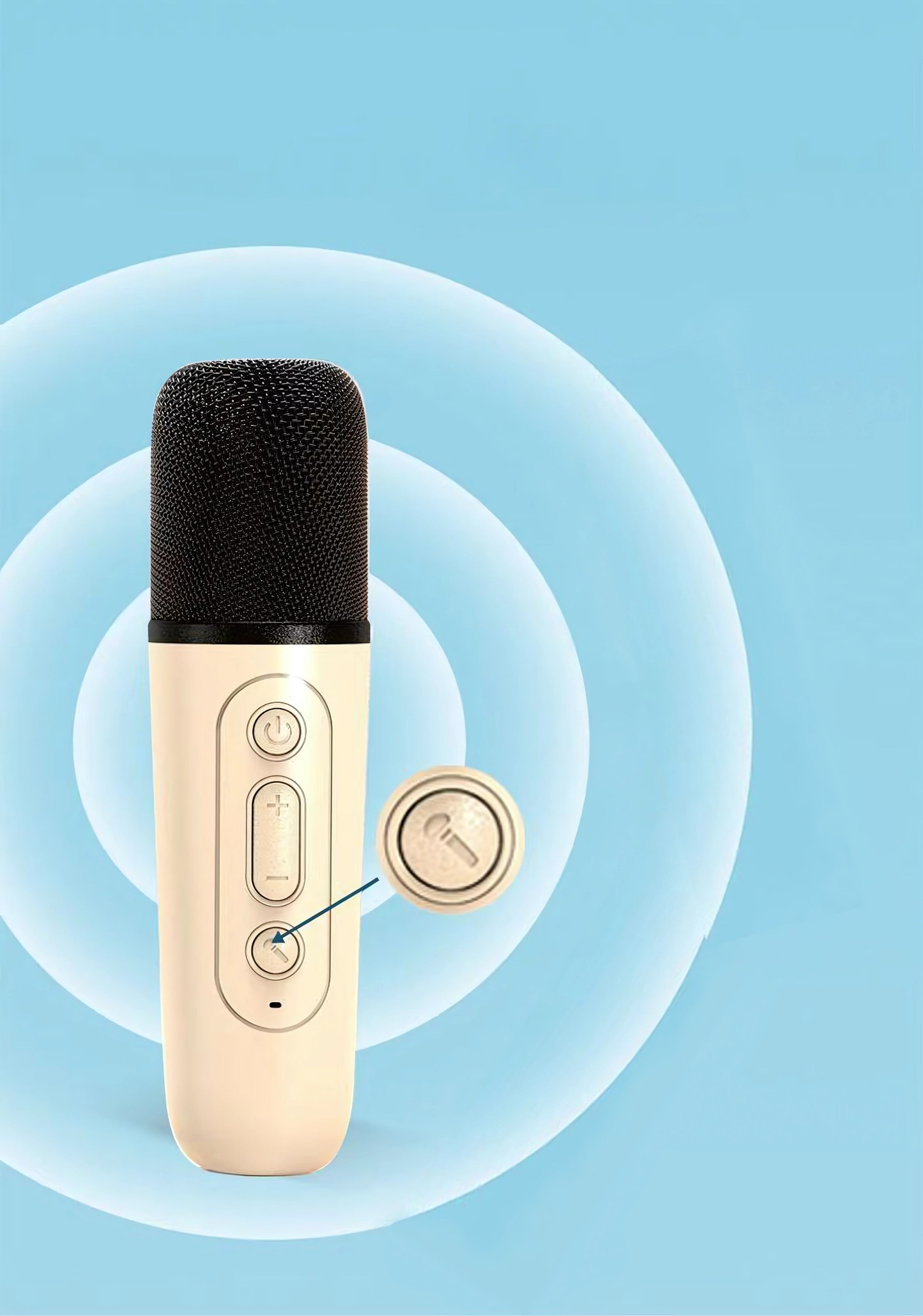 Karaokê Portátil VoicePro [Com 2 Microfone]