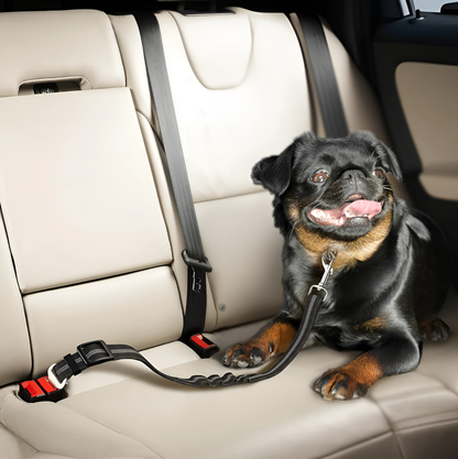Cinto de Segurança para Pets [Compre 1 e Leve 2]