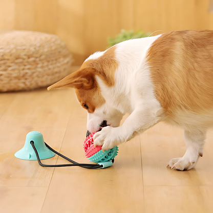 Brinquedo Pull Ball com Ventosa