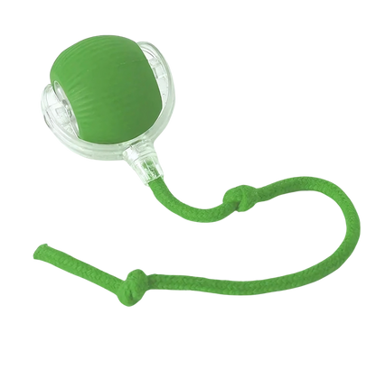 Bolinha Interativa PetPlay