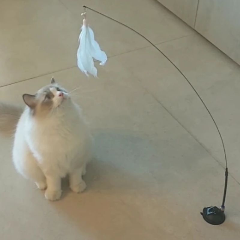 Brinquedo Interativo Pena para Gatos Hands Free [Compre 1 e Leve 2]