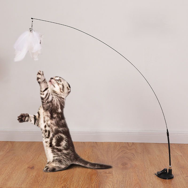 Brinquedo Interativo Pena para Gatos Hands Free [Compre 1 e Leve 2]